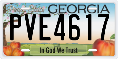 GA license plate PVE4617