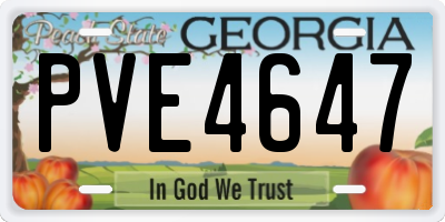 GA license plate PVE4647