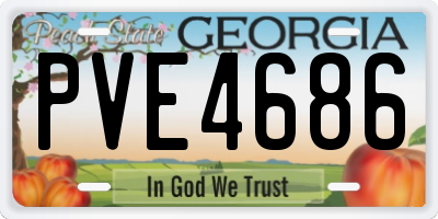 GA license plate PVE4686