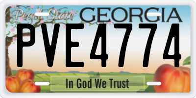GA license plate PVE4774