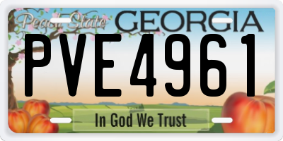 GA license plate PVE4961