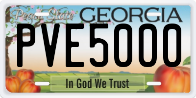 GA license plate PVE5000