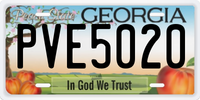 GA license plate PVE5020
