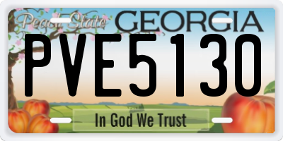 GA license plate PVE5130
