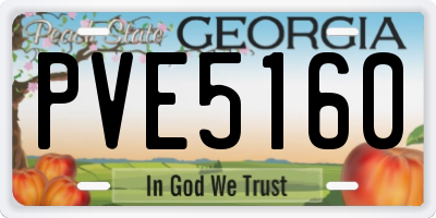 GA license plate PVE5160