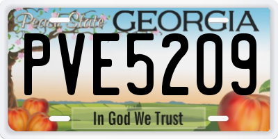 GA license plate PVE5209