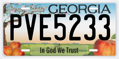 GA license plate PVE5233