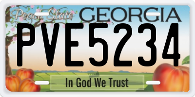 GA license plate PVE5234