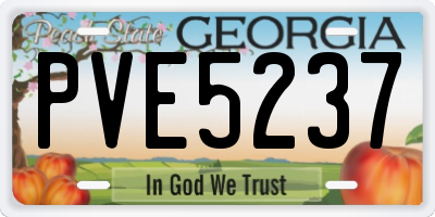 GA license plate PVE5237