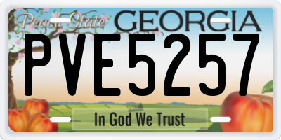 GA license plate PVE5257