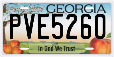 GA license plate PVE5260
