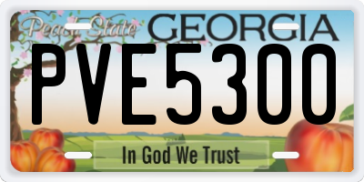 GA license plate PVE5300