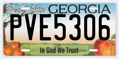 GA license plate PVE5306
