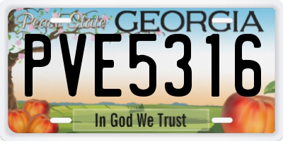 GA license plate PVE5316