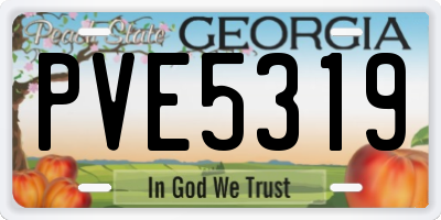 GA license plate PVE5319