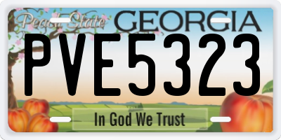 GA license plate PVE5323