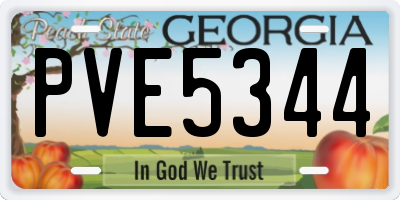 GA license plate PVE5344
