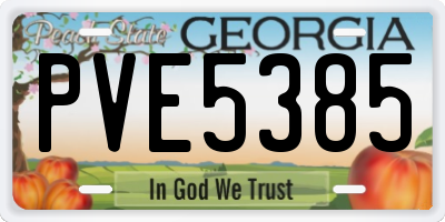 GA license plate PVE5385