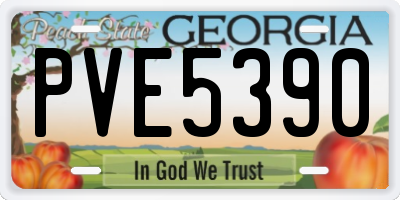 GA license plate PVE5390