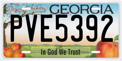 GA license plate PVE5392