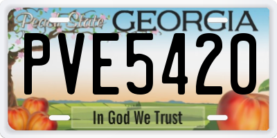 GA license plate PVE5420