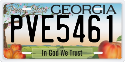 GA license plate PVE5461
