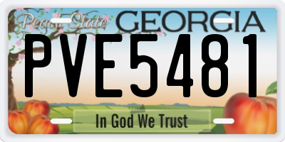 GA license plate PVE5481