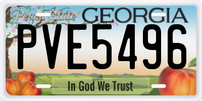 GA license plate PVE5496
