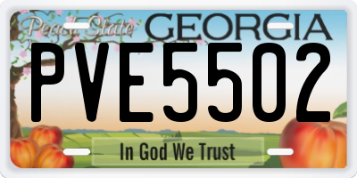 GA license plate PVE5502