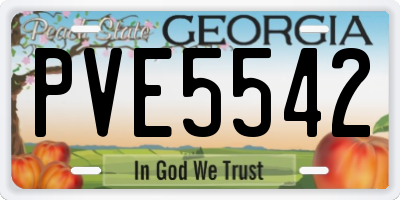 GA license plate PVE5542