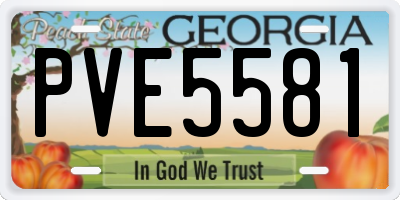 GA license plate PVE5581
