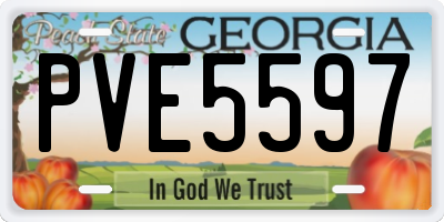 GA license plate PVE5597