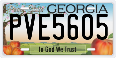 GA license plate PVE5605