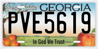 GA license plate PVE5619