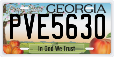 GA license plate PVE5630