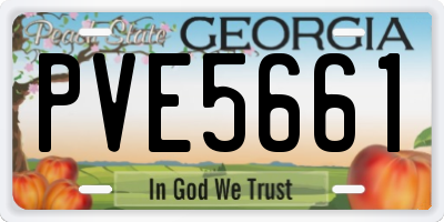 GA license plate PVE5661