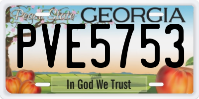 GA license plate PVE5753