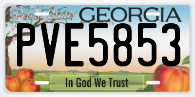 GA license plate PVE5853