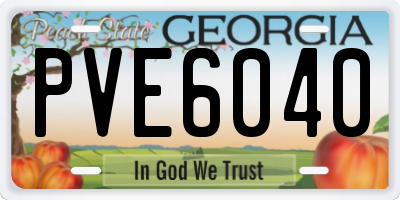 GA license plate PVE6040