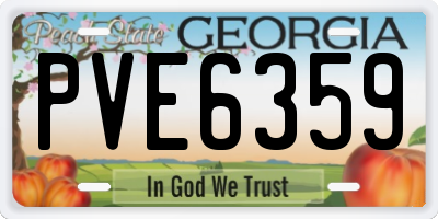 GA license plate PVE6359