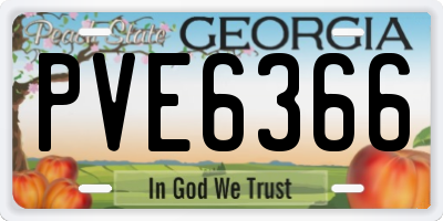 GA license plate PVE6366