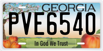 GA license plate PVE6540