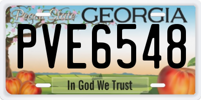 GA license plate PVE6548