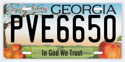 GA license plate PVE6650