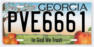GA license plate PVE6661