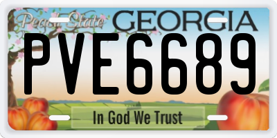 GA license plate PVE6689