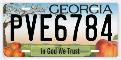 GA license plate PVE6784