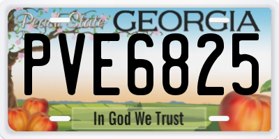 GA license plate PVE6825