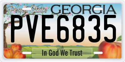 GA license plate PVE6835