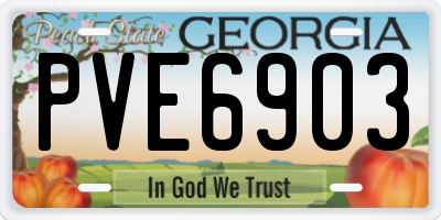 GA license plate PVE6903
